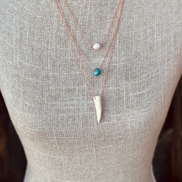 Meet your Posher, Kalika - Picture 7 of 9